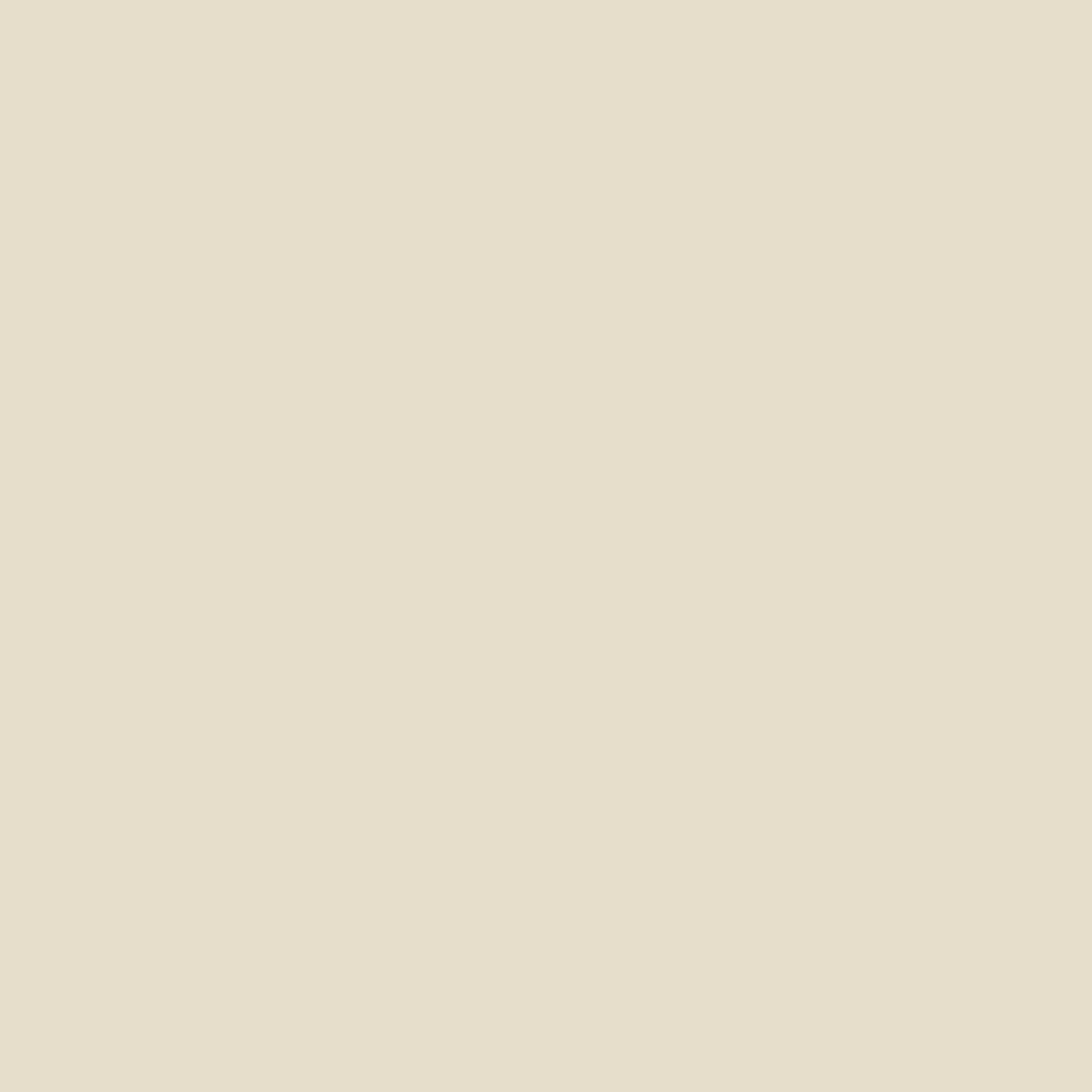 Custom Drop Cloth, Beige (Natrual), 12 Ounce Cotton Canvas, 58" x 84" WITHOUT Logo