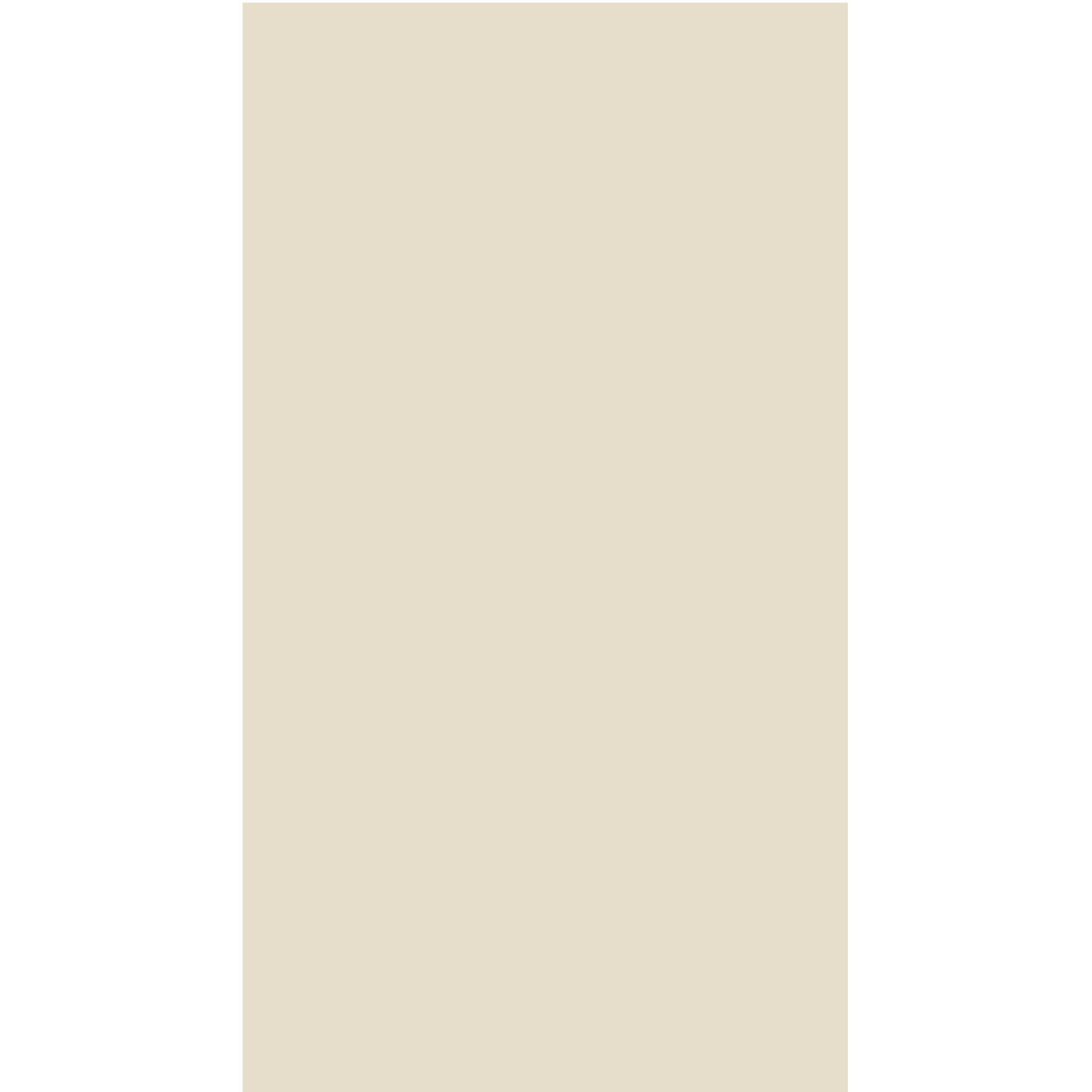 Custom Drop Cloth, Beige (Natural), 10 Ounce, Cotton Canvas Runner, 28 Inches x 120 Inches WITHOUT Logo